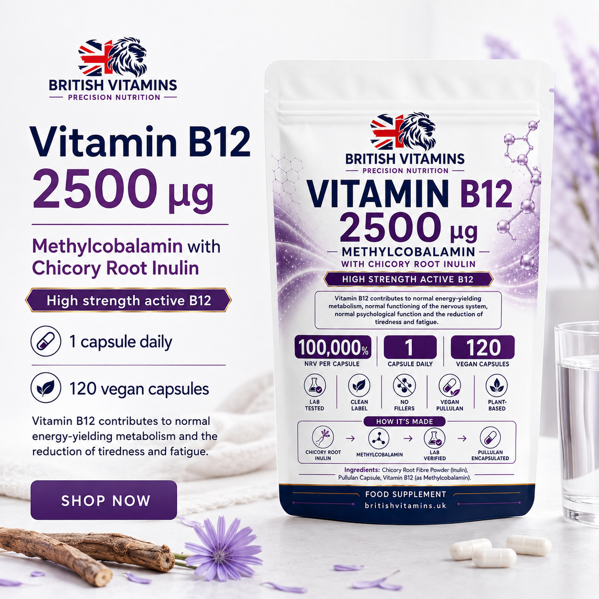 Vitamin B12 2500µg Methylcobalamin with Chicory Root Inulin